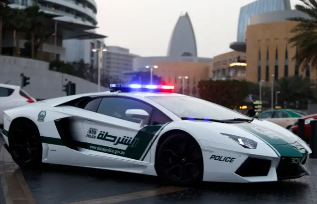 Dubai Police